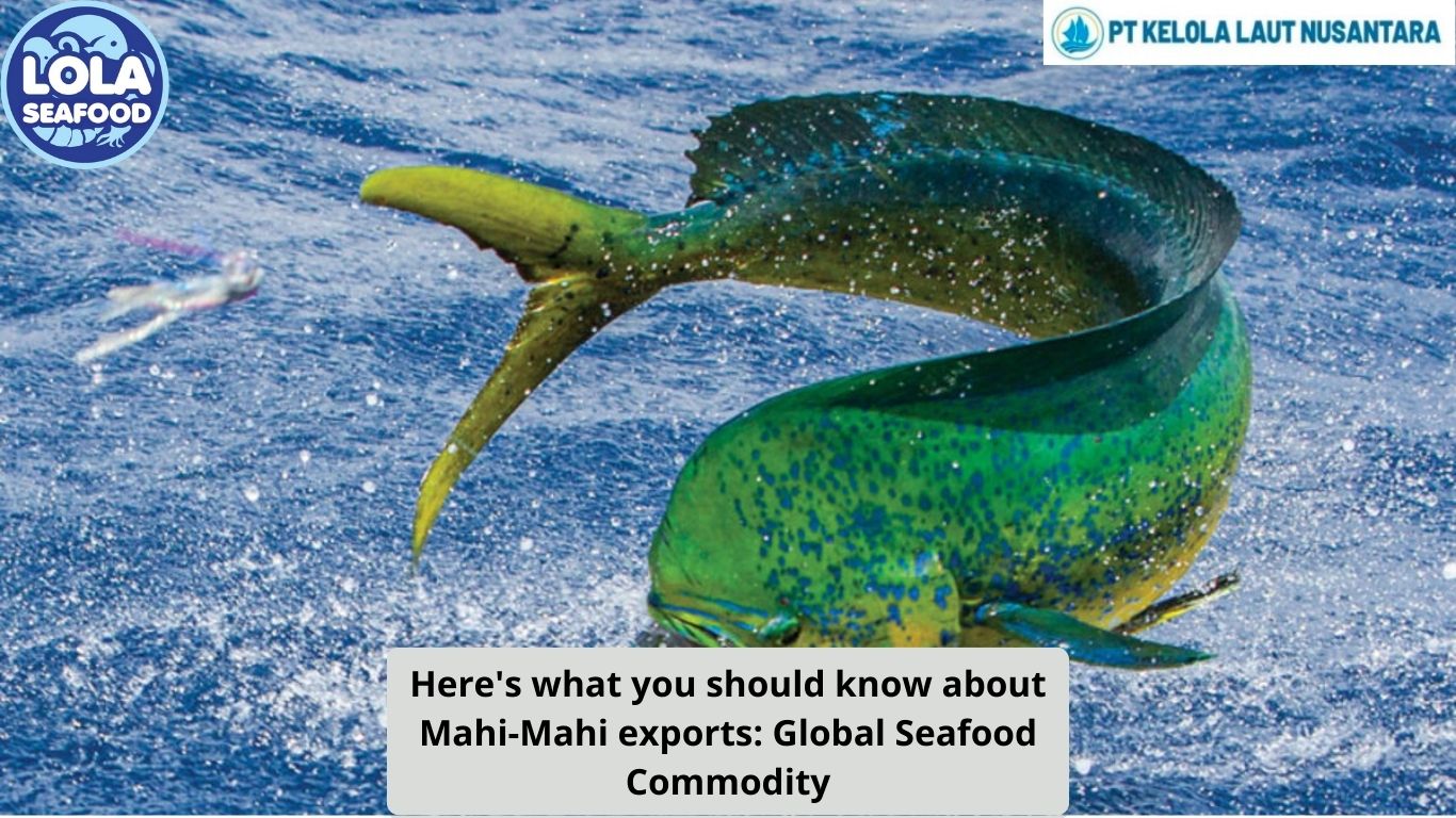 Here's what you should know about Mahi-Mahi Exports: Global Seafood Commodity